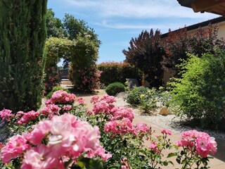 Der Rosengarten im Juni