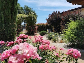 Holiday house Porec Outdoor Recording 9