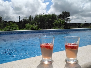 Zur Abkühlung in den Pool