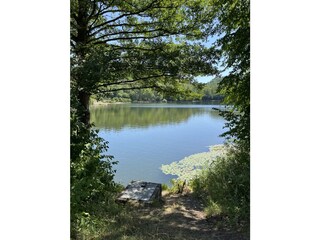 Appartamento per vacanze Frielendorf Ambiente 20