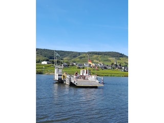 Ferienhaus Briedern Umgebung 26