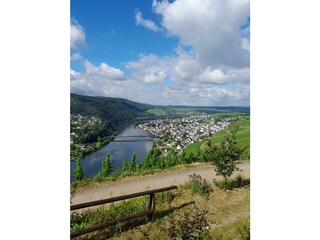 Ferienhaus Briedern Umgebung 29