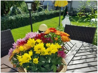 Ferienhaus Briedern Außenaufnahme 7