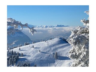 Rigi in winter