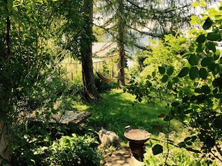 Magic garden