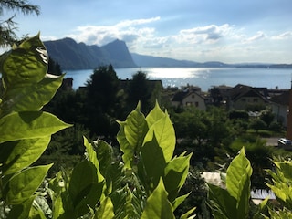 View across the lake
