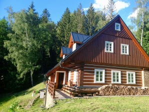 Villa Rokytnice KRM450 - Rokytnice nad Jizerou - image1