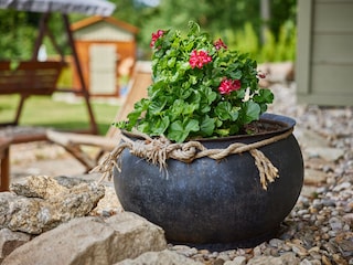 Villa Albrechtice v Jizerských horách Environment 37