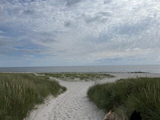 Casa per le vacanze Westerland Ambiente 71