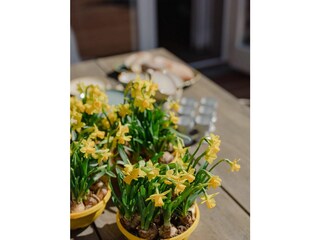 Casa per le vacanze Westerland Registrazione all'aperto 62