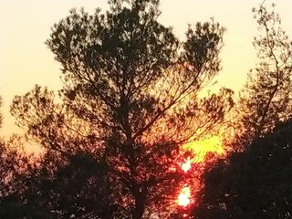 Villa Psakoudia Environment 18