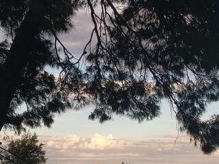 Villa Psakoudia Environment 21