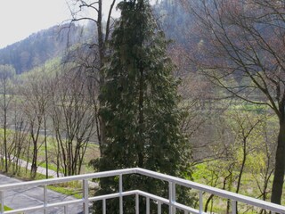 Blick nach Osten