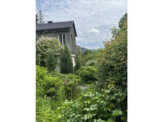 Balkon nach Westen  2025