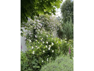 Der Balkon nach Westen