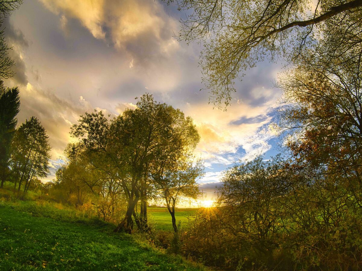 Mühlbach in Abendsonne