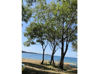 Villa Višnjan Environment 39