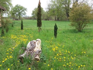 Frühlingsimpressionen