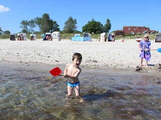 Appartement de vacances Kronsgaard Environnement 23