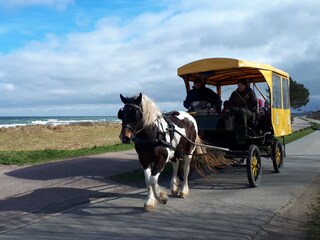 Vakantieappartement Kronsgaard Omgeving 25