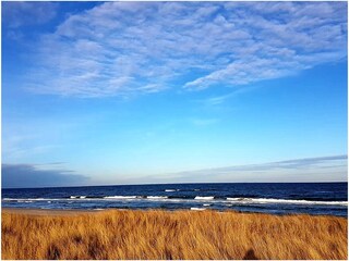 Apartamento de vacaciones Kronsgaard Entorno 26