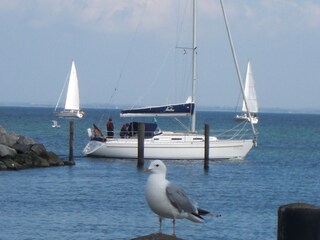 Apartamento de vacaciones Kronsgaard Entorno 31