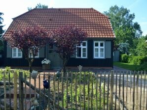 Landhaus "alter Ton in neuer Art"-Das Kapitänshaus - Born - image1