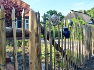 Landhaus Born an der Darß Außenaufnahme 3