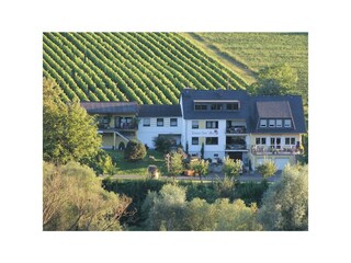 Weingut u. Gästehaus
