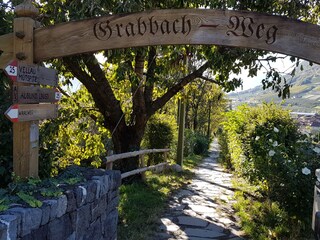 Appartamento per vacanze Algund Ambiente 24