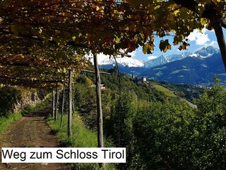 Appartamento per vacanze Algund Ambiente 29