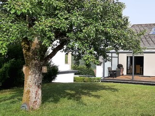 Appartamento Manderscheid (Wittlich-Land) Registrazione all'aperto 8