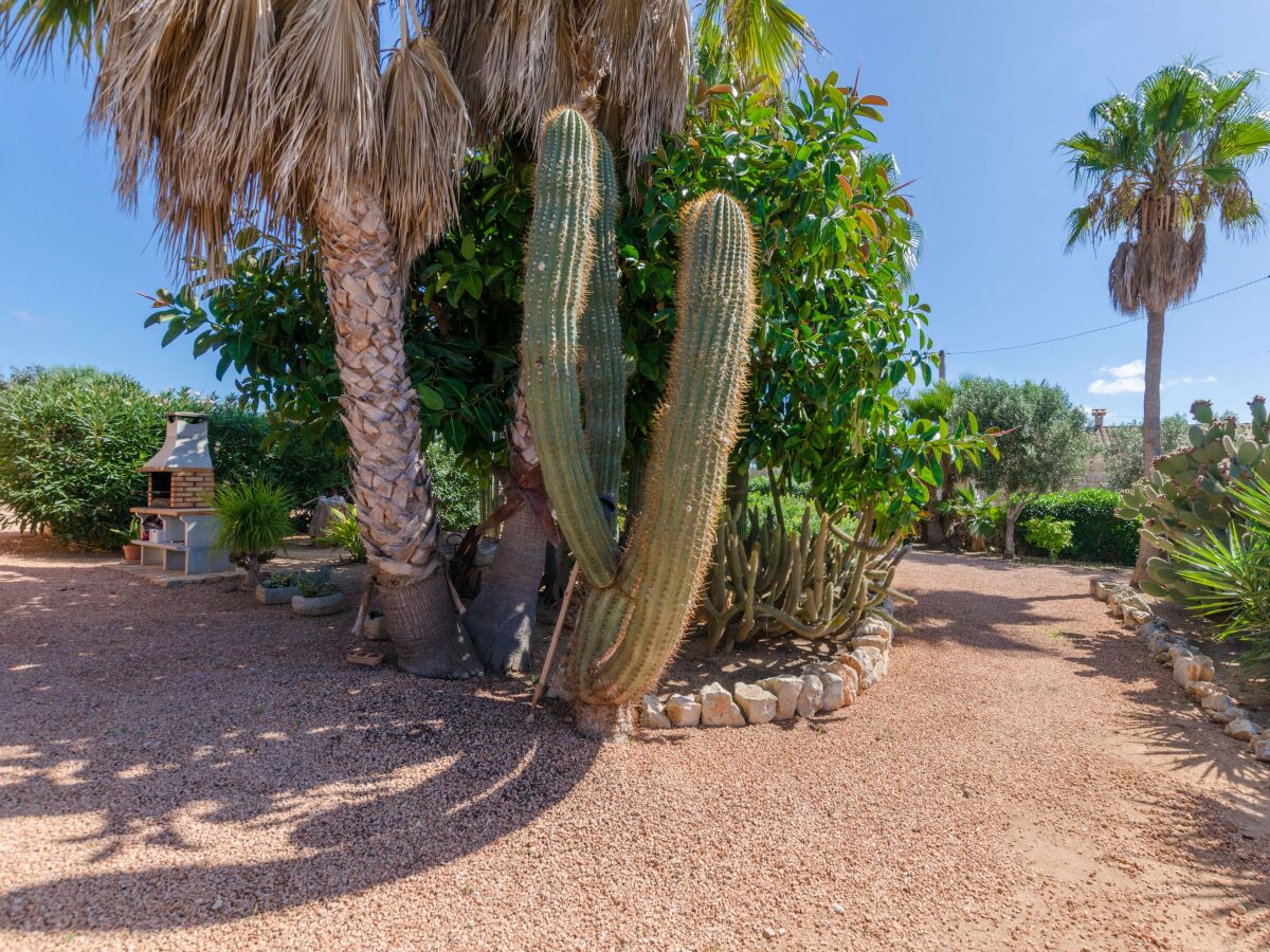 Villa Ses Salines Außenaufnahme 14