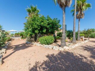 Villa Ses Salines Registrazione all'aperto 16