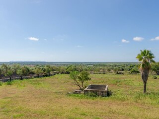 Villa Ses Salines Omgeving 42