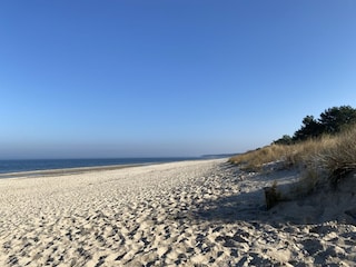 Ferienwohnung Zinnowitz Umgebung 19