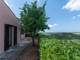 Villa Buje Registrazione all'aperto 16