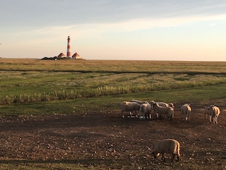Leuchtturm Westerhever
