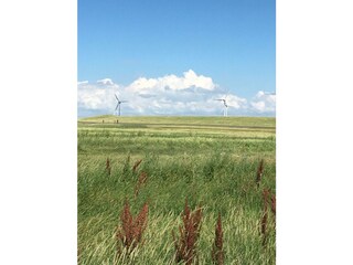 Casa per le vacanze Pilsum Ambiente 35