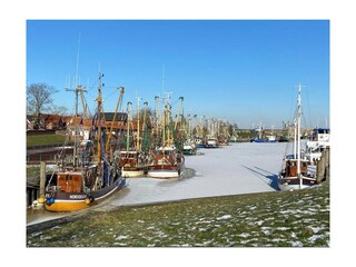 Vakantiehuis Pilsum Omgeving 35