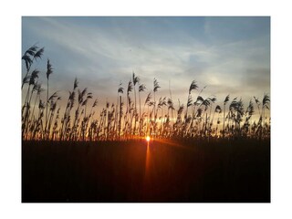 Casa de vacaciones Pilsum Entorno 37