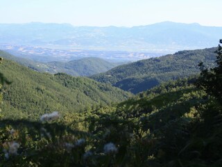 Type de propriété : Ferme Monte Santa Maria Tiberina Environnement 36