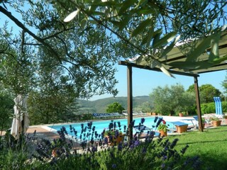 Fattoria Monte Santa Maria Tiberina Registrazione all'aperto 16