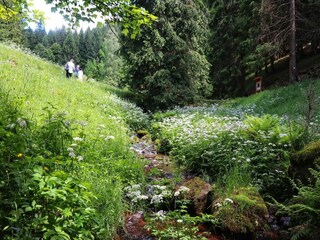 Appartamento Steinbach-Hallenberg Ambiente 25