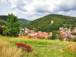 Apartamento Steinbach-Hallenberg Entorno 26