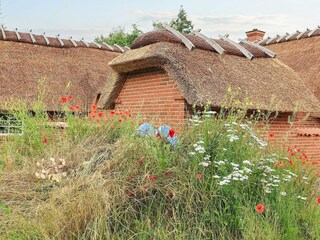 Maison de vacances Marielyst  25