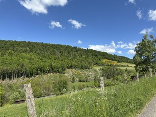 Vakantiehuis Hatzfeld Eder Omgeving 50