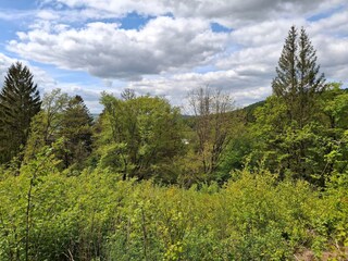 Ferienhaus Hatzfeld Eder Umgebung 52