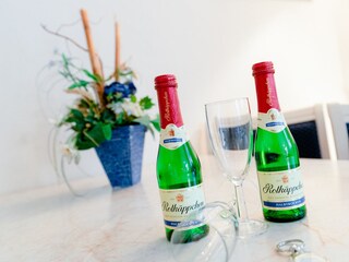 Ferienwohnung Binz Wohnzimmer 9