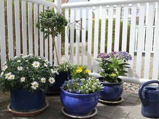 Ferienwohnung Göhren  35